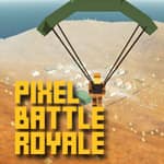 Pixel Battle Royal