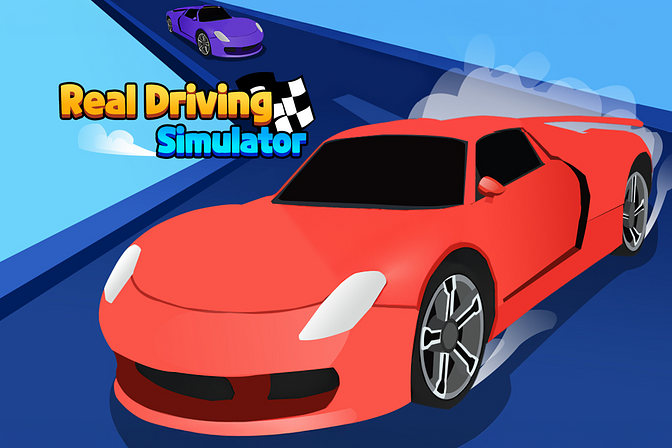 Real Driving Simulator