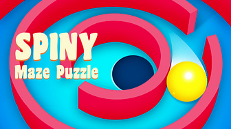 Spinny Maze Puzzle