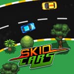 Skid Cars